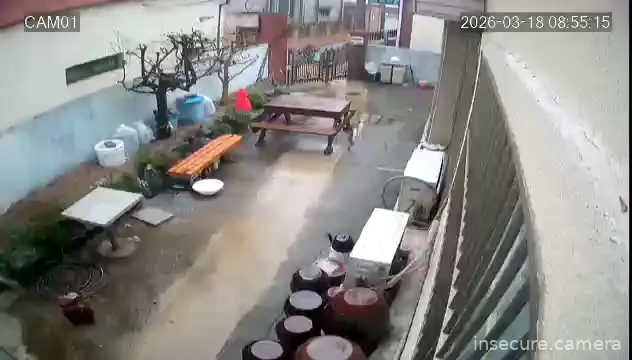 Camera in South Korea