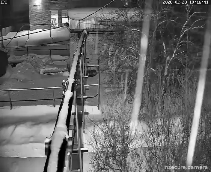 Capture from Feb 28, 2026 at 02:16 AM