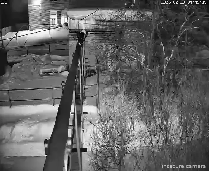 Capture from Feb 19, 2026 at 08:46 PM