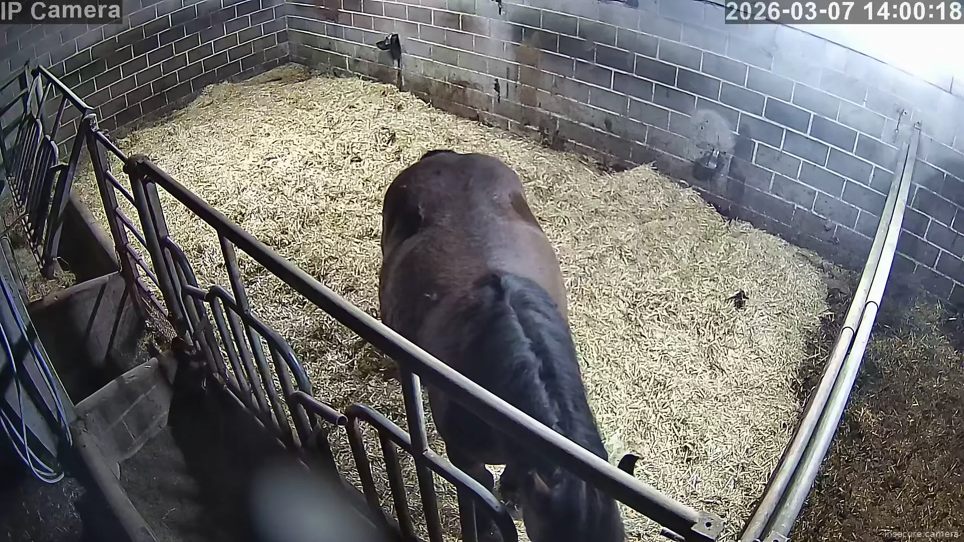 Capture from Mar 07, 2026 at 06:00 AM