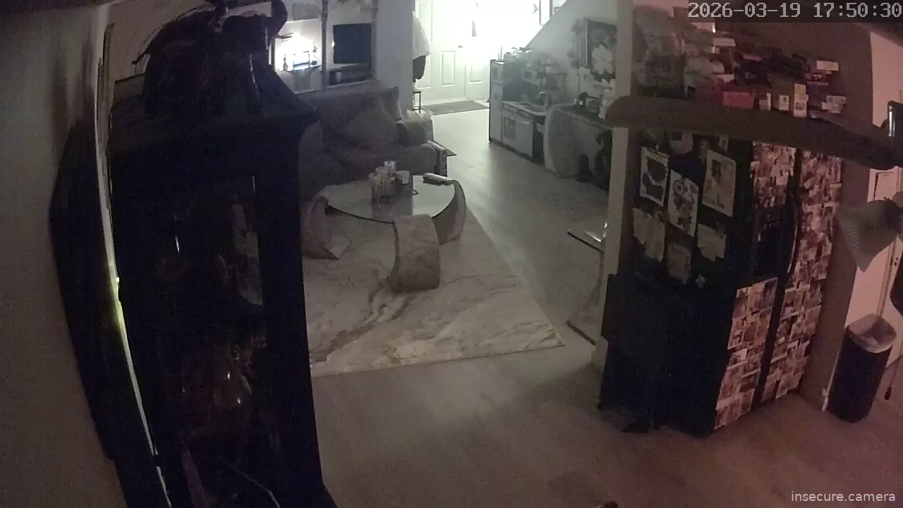 Camera in United States