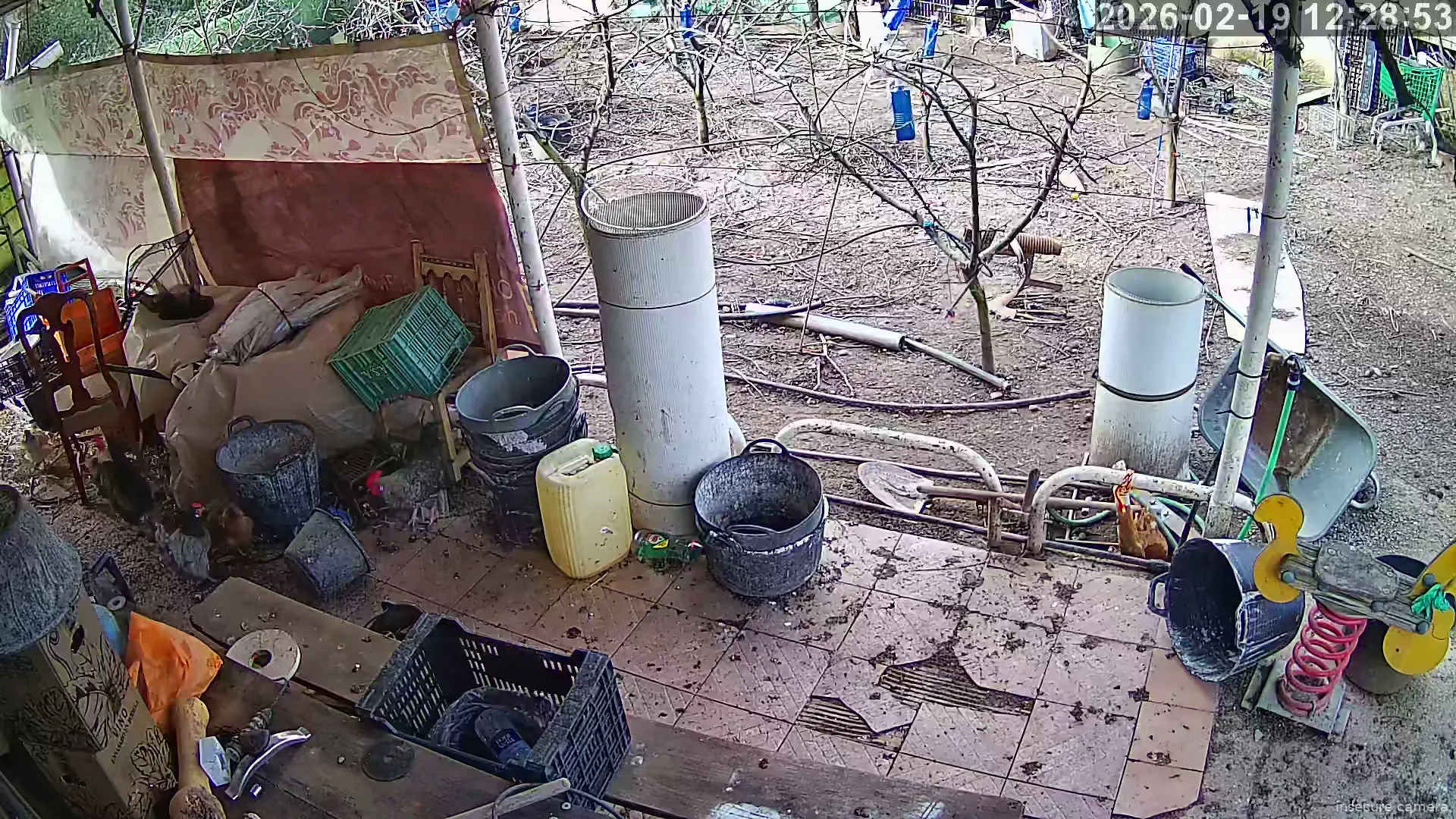 Capture from Feb 19, 2026 at 11:29 AM