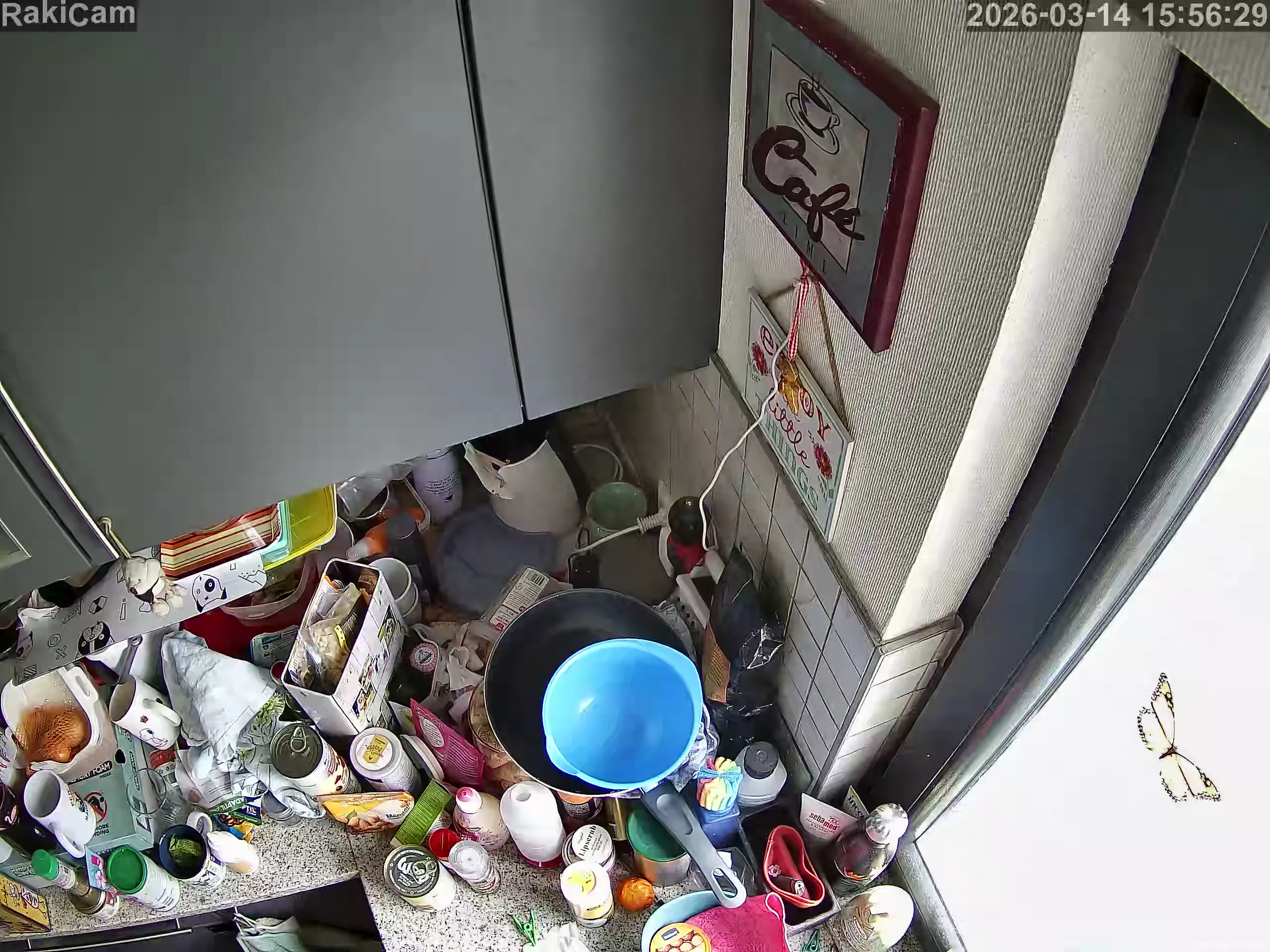 Capture from Mar 14, 2026 at 02:56 PM