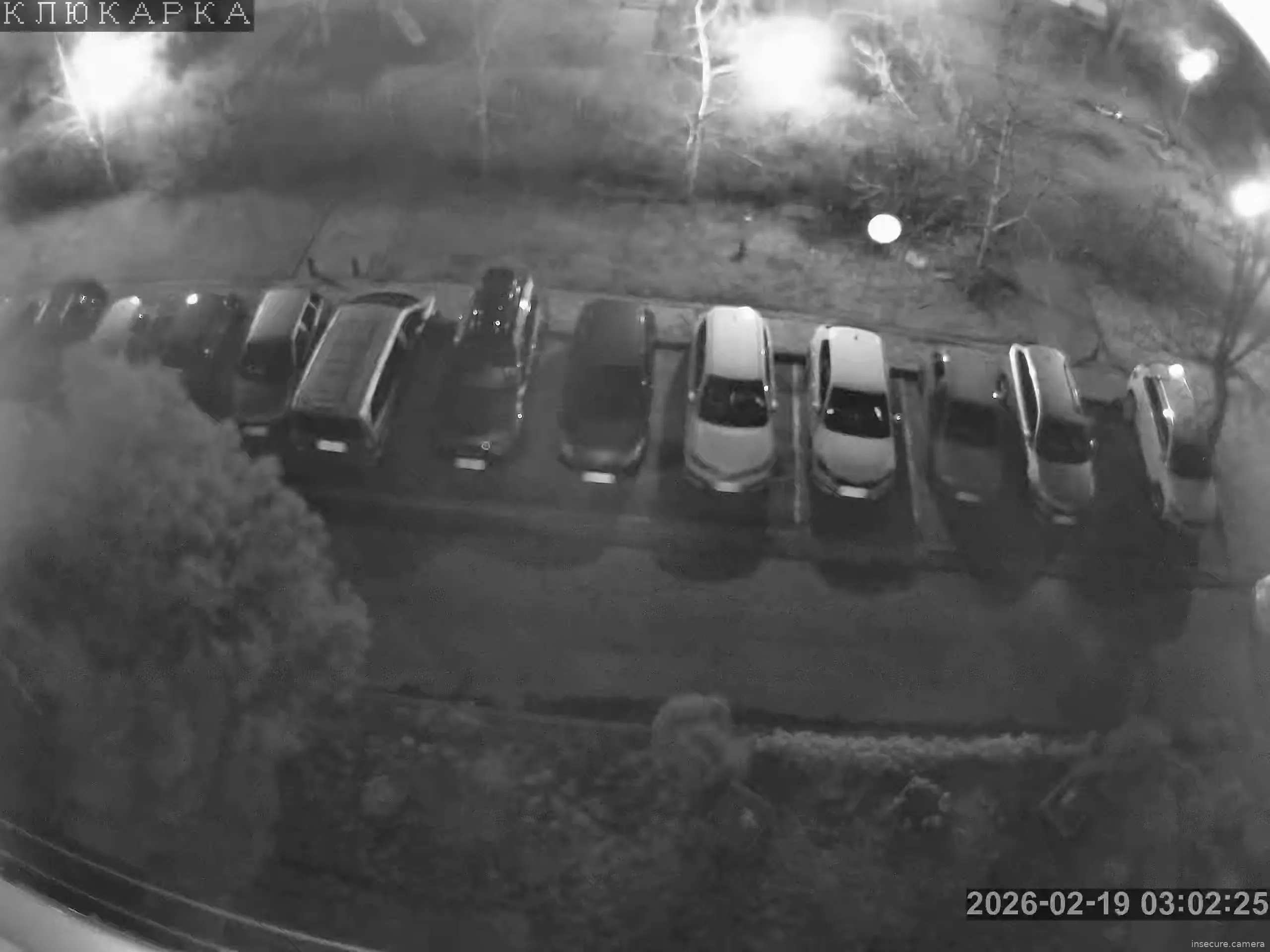 Capture from Feb 19, 2026 at 01:03 AM