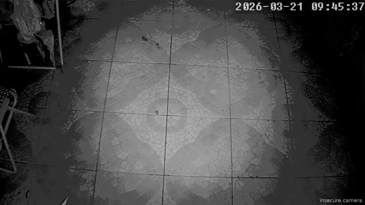 Capture from Mar 21, 2026 at 01:46 AM