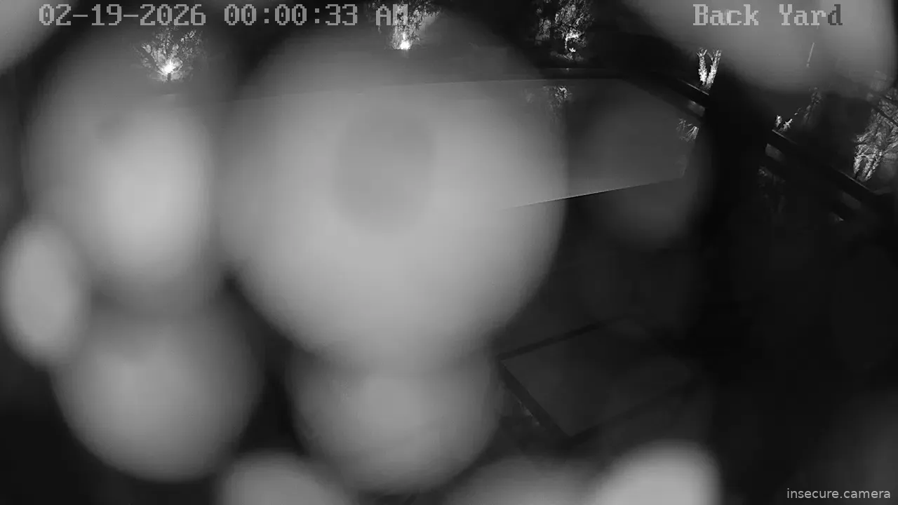 Capture from Feb 19, 2026 at 07:00 AM