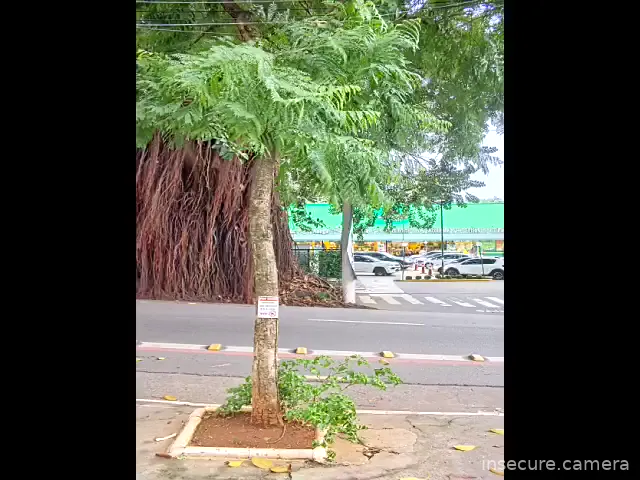 Camera in Unknown