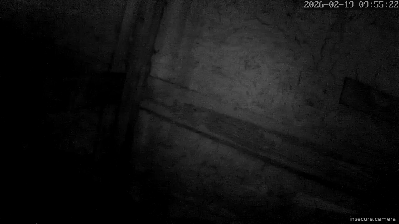 Capture from Feb 19, 2026 at 12:55 AM