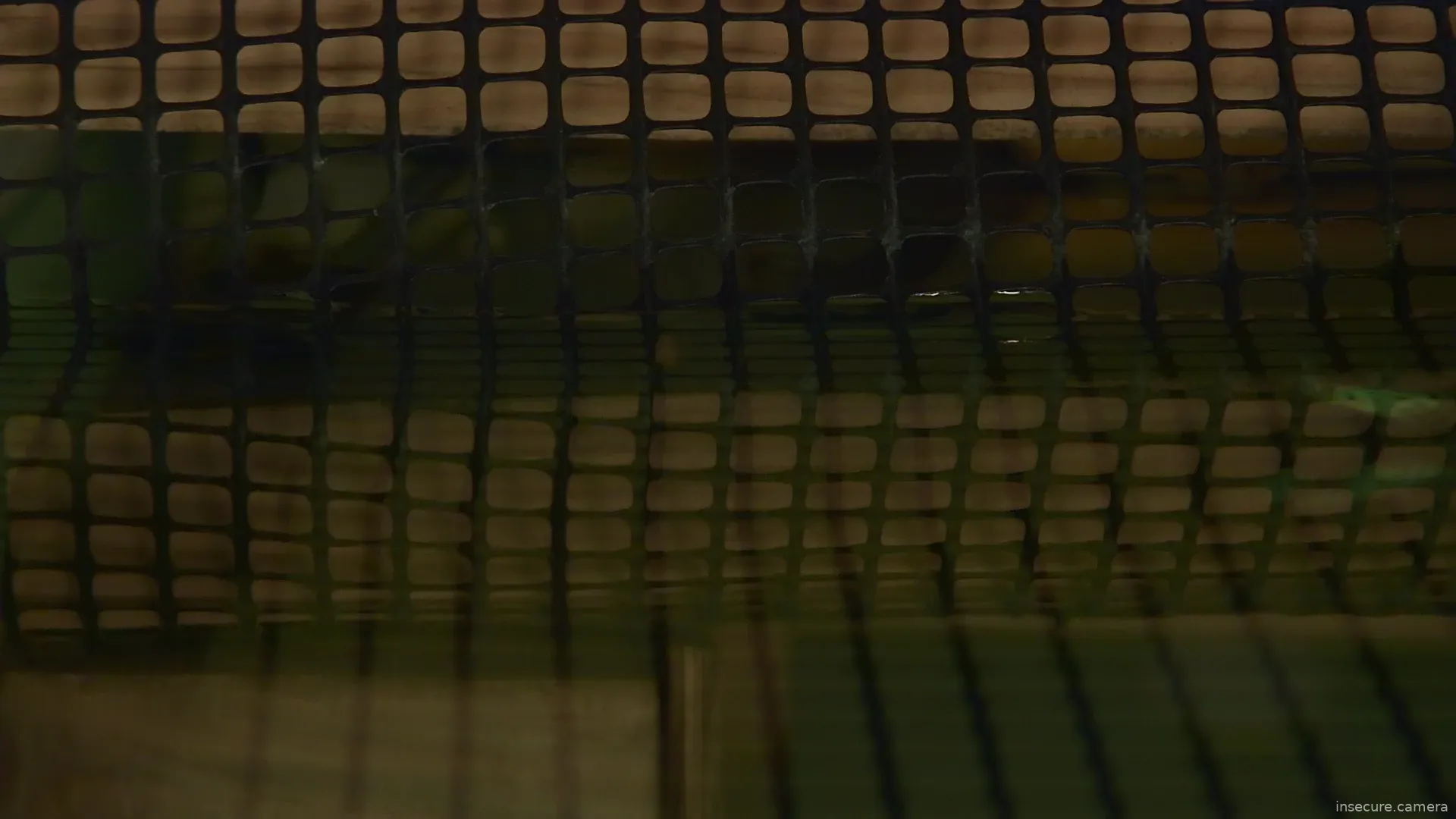 Capture from Mar 14, 2026 at 03:07 AM