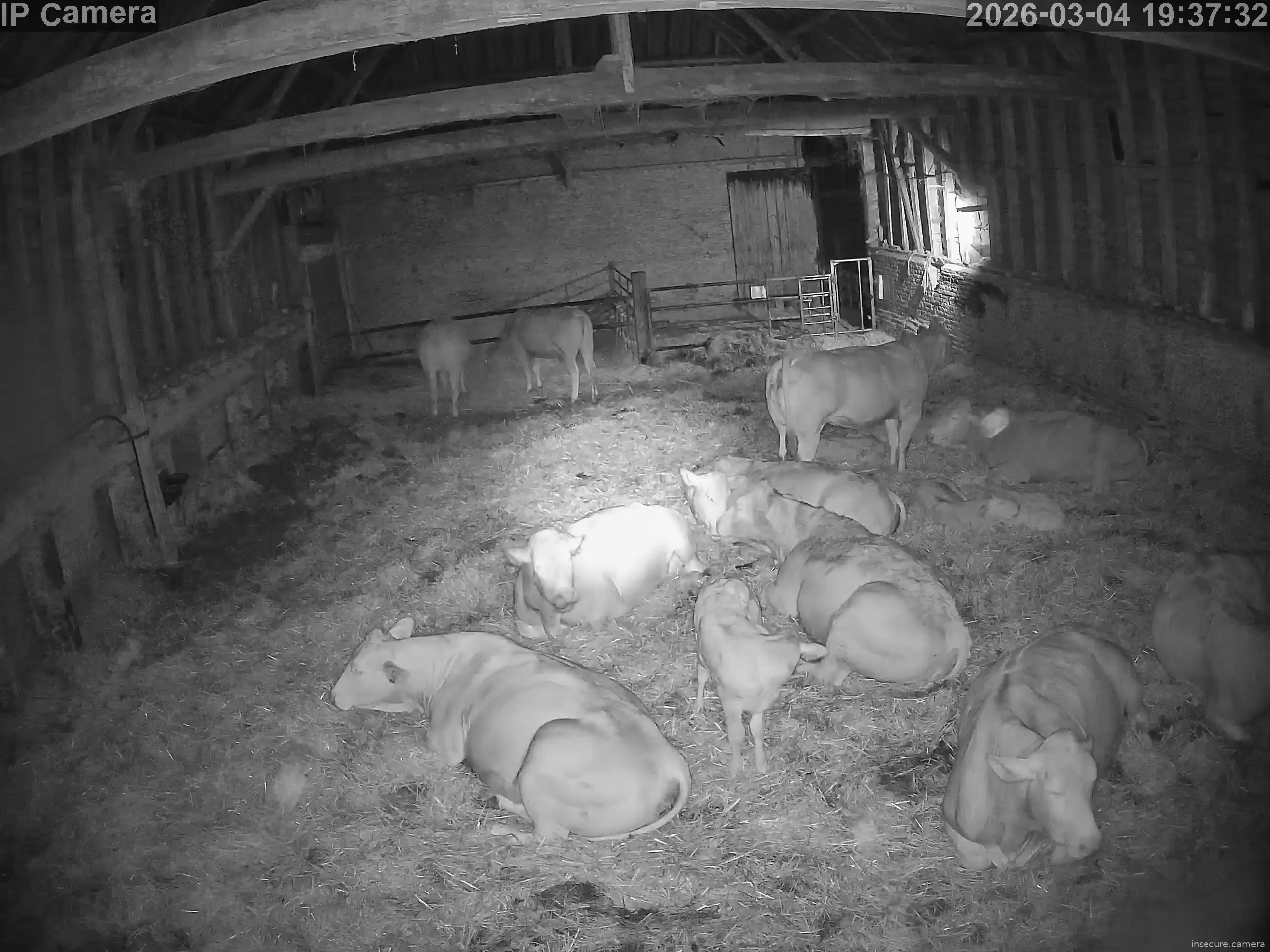 Capture from Mar 04, 2026 at 06:38 PM