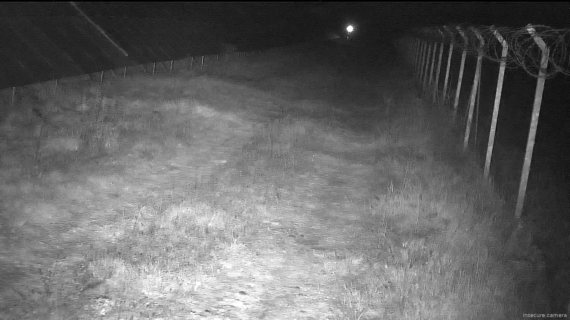 Capture from Feb 26, 2026 at 11:13 PM