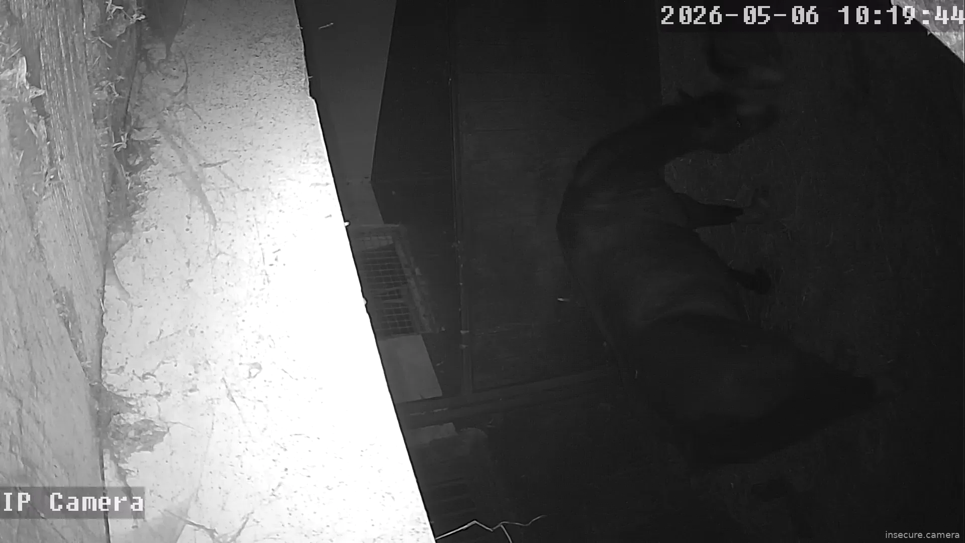 Camera in Netherlands