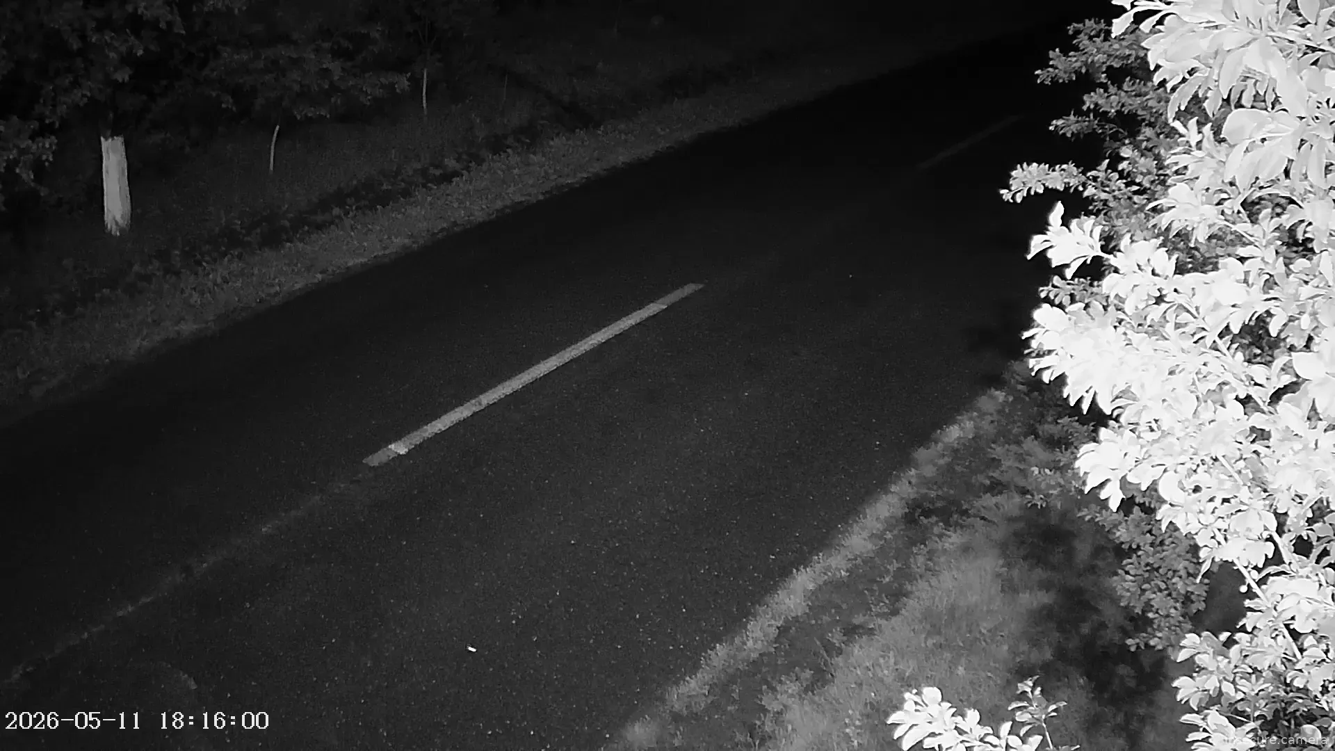 Capture from May 11, 2026 at 08:21 PM