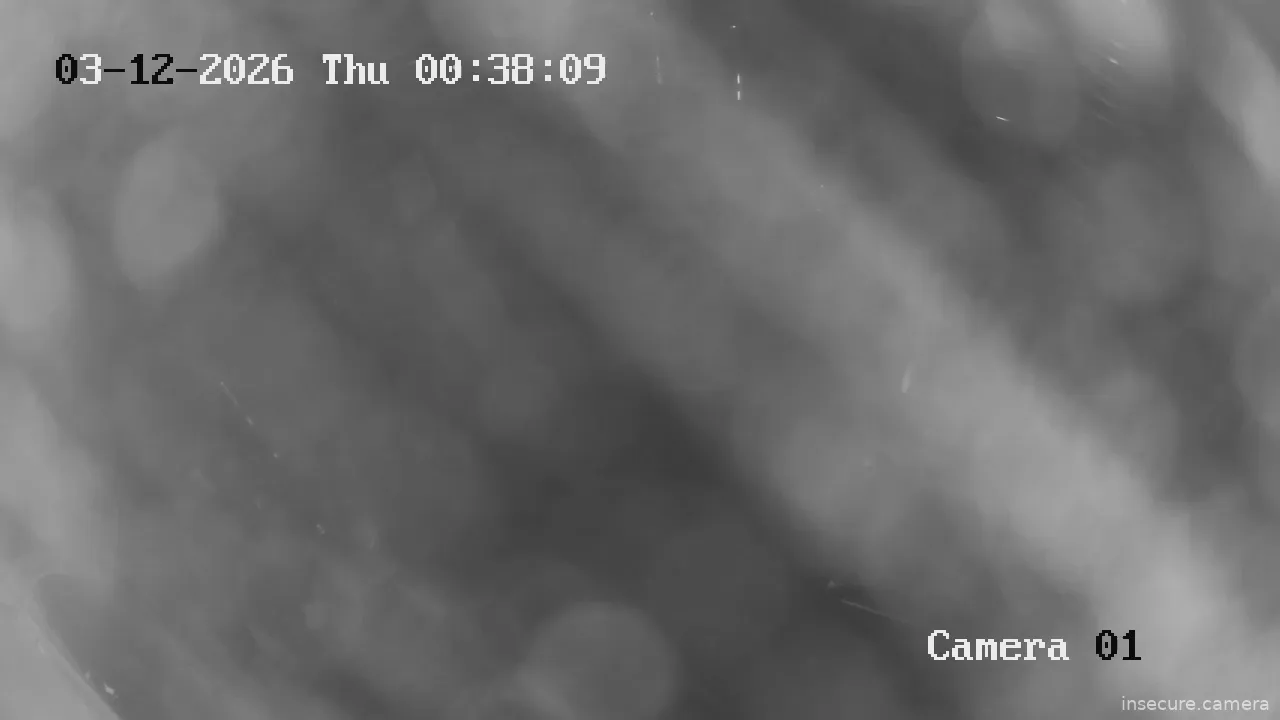 Capture from Mar 12, 2026 at 07:38 AM