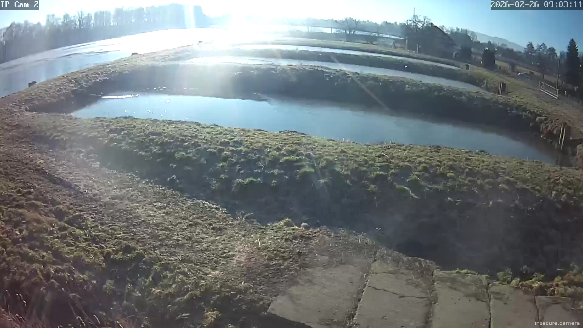 Capture from Feb 26, 2026 at 08:03 AM