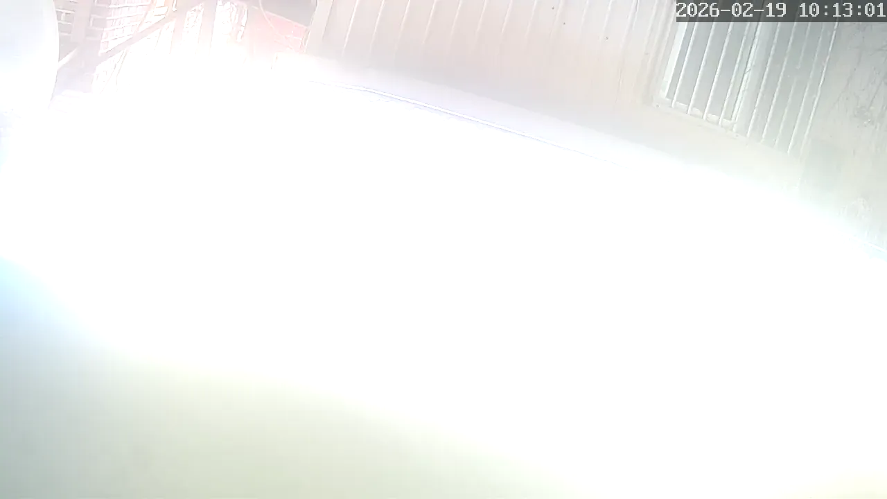 Capture from Feb 19, 2026 at 01:13 AM