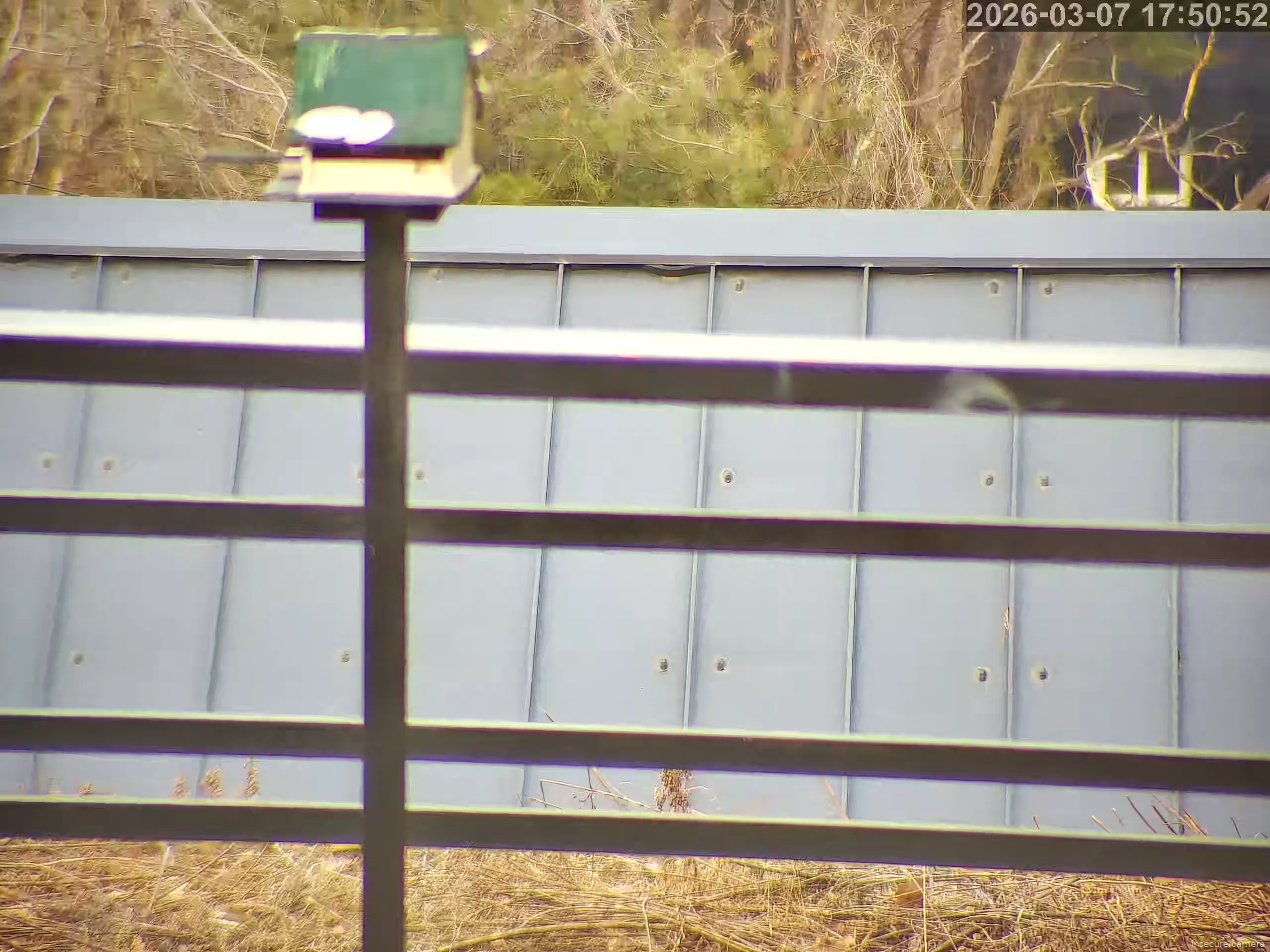 Camera in South Korea