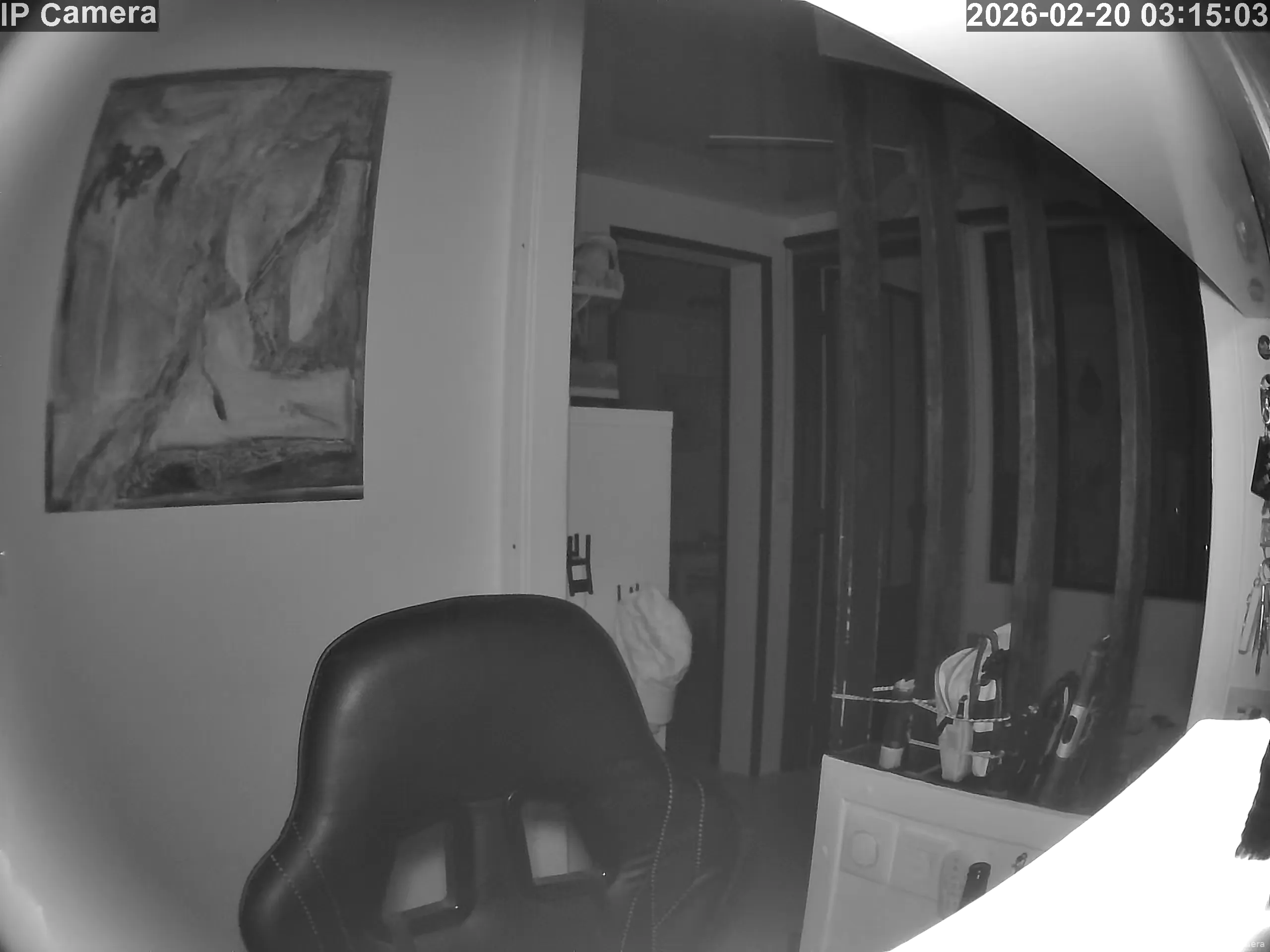 Capture from Feb 19, 2026 at 07:15 PM