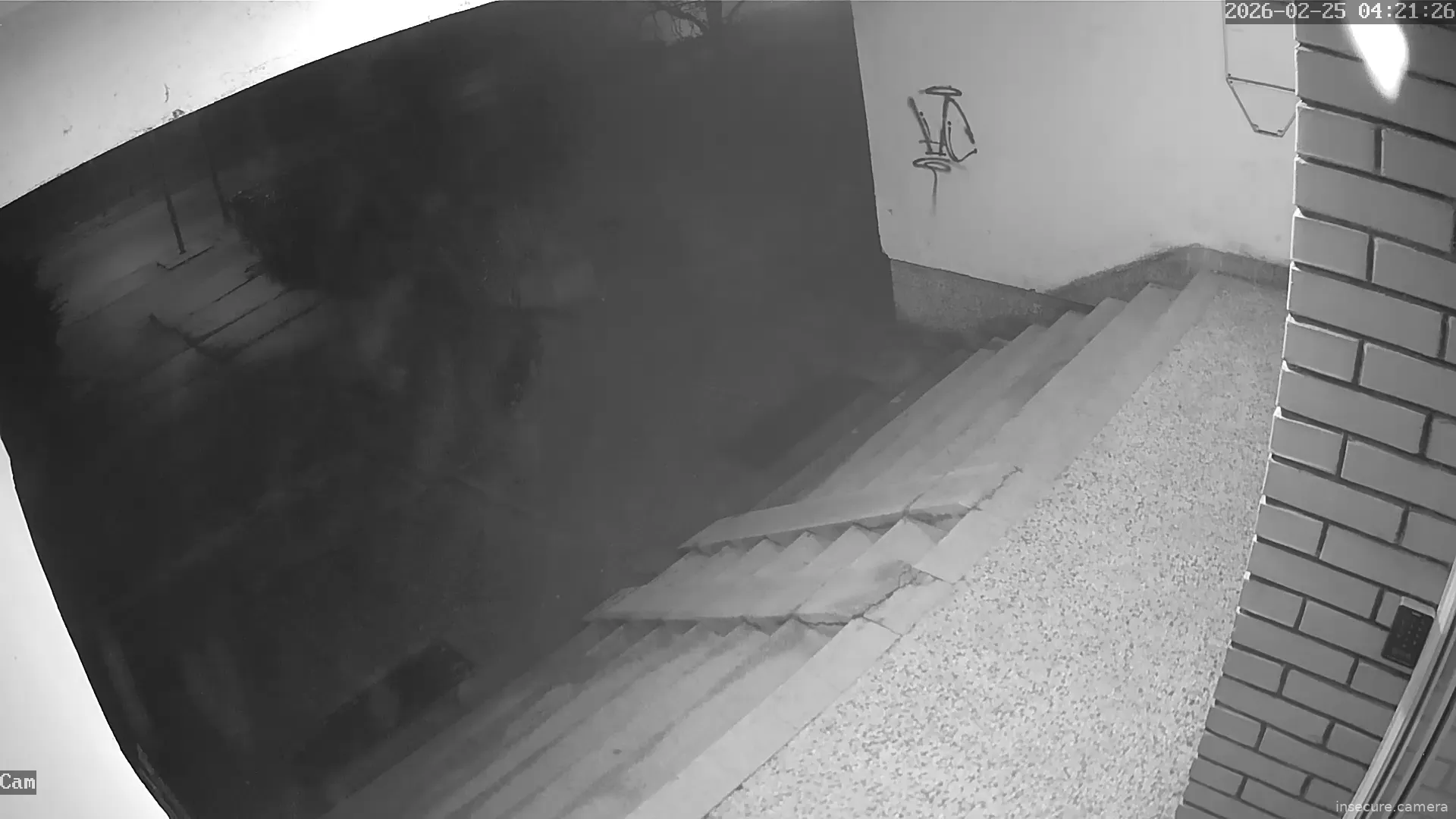 Capture from Feb 25, 2026 at 03:22 AM