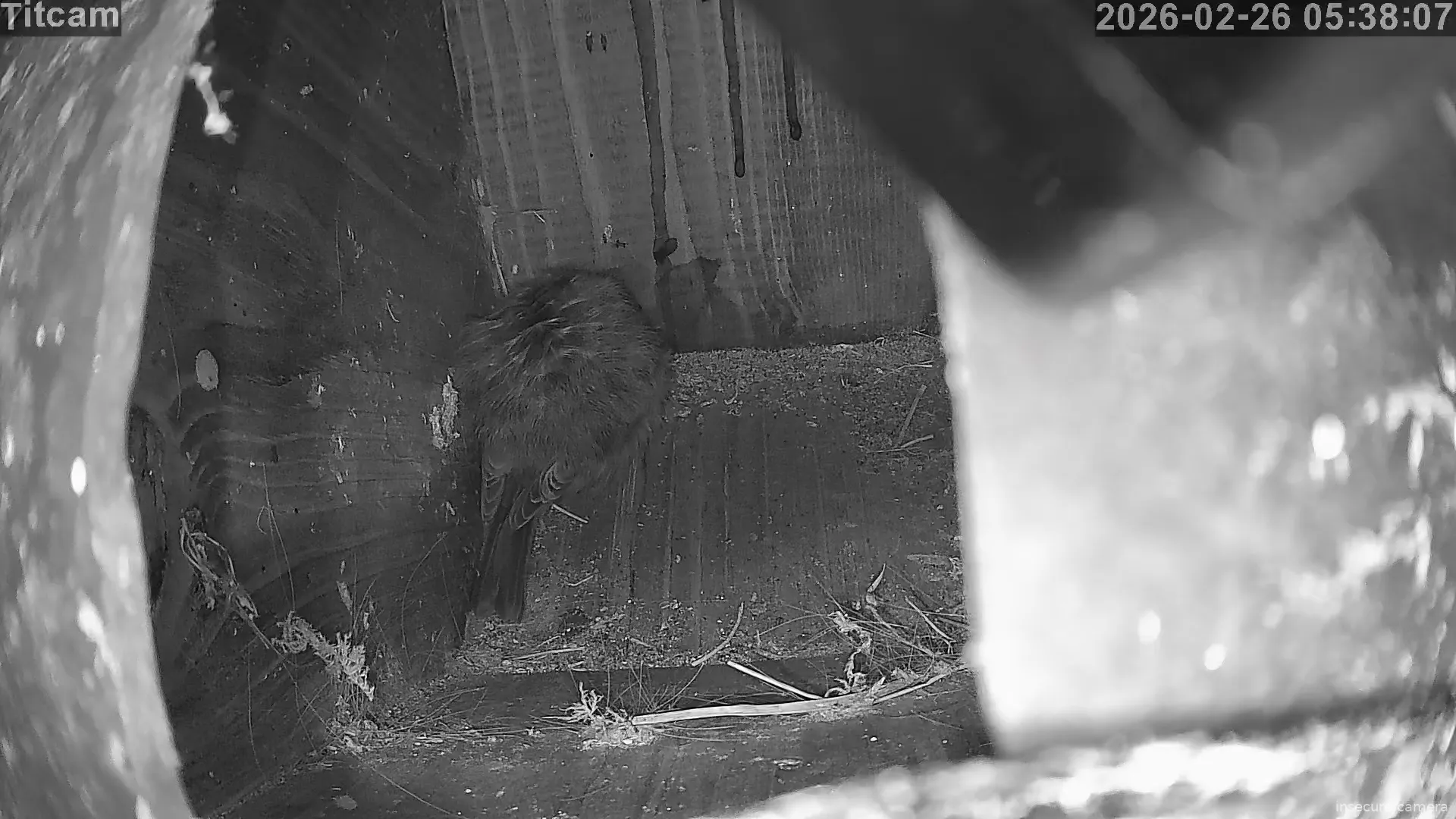 Capture from Feb 26, 2026 at 05:38 AM