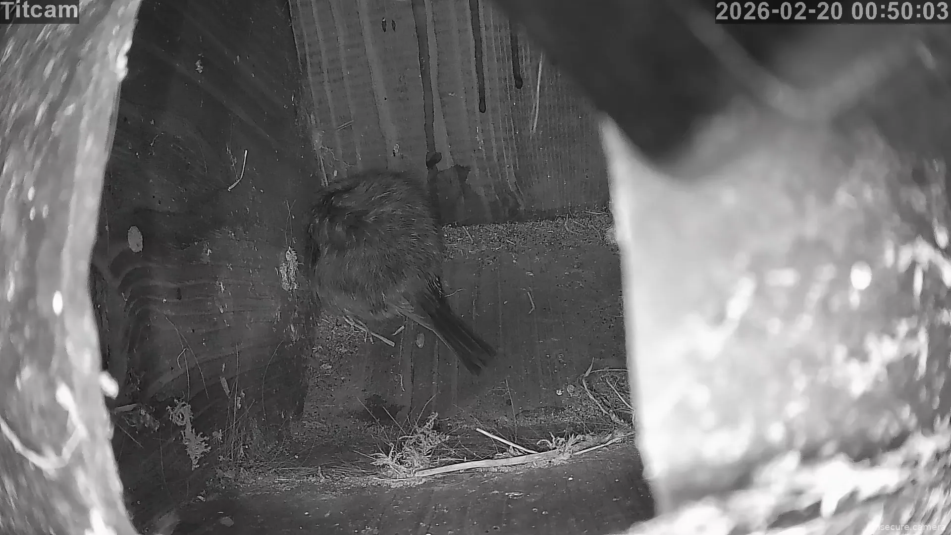 Capture from Feb 20, 2026 at 12:50 AM