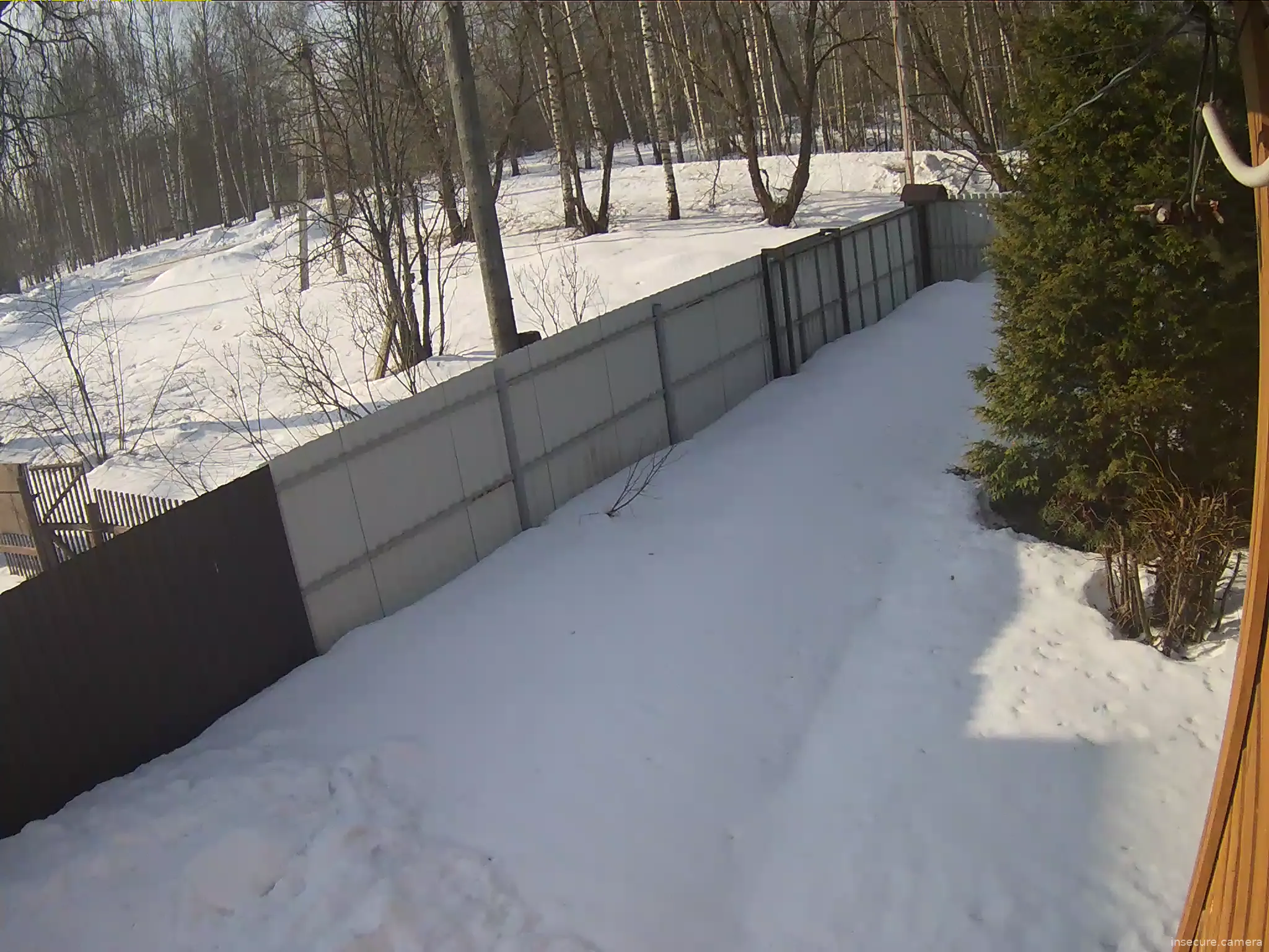 Capture from Mar 20, 2026 at 06:06 AM