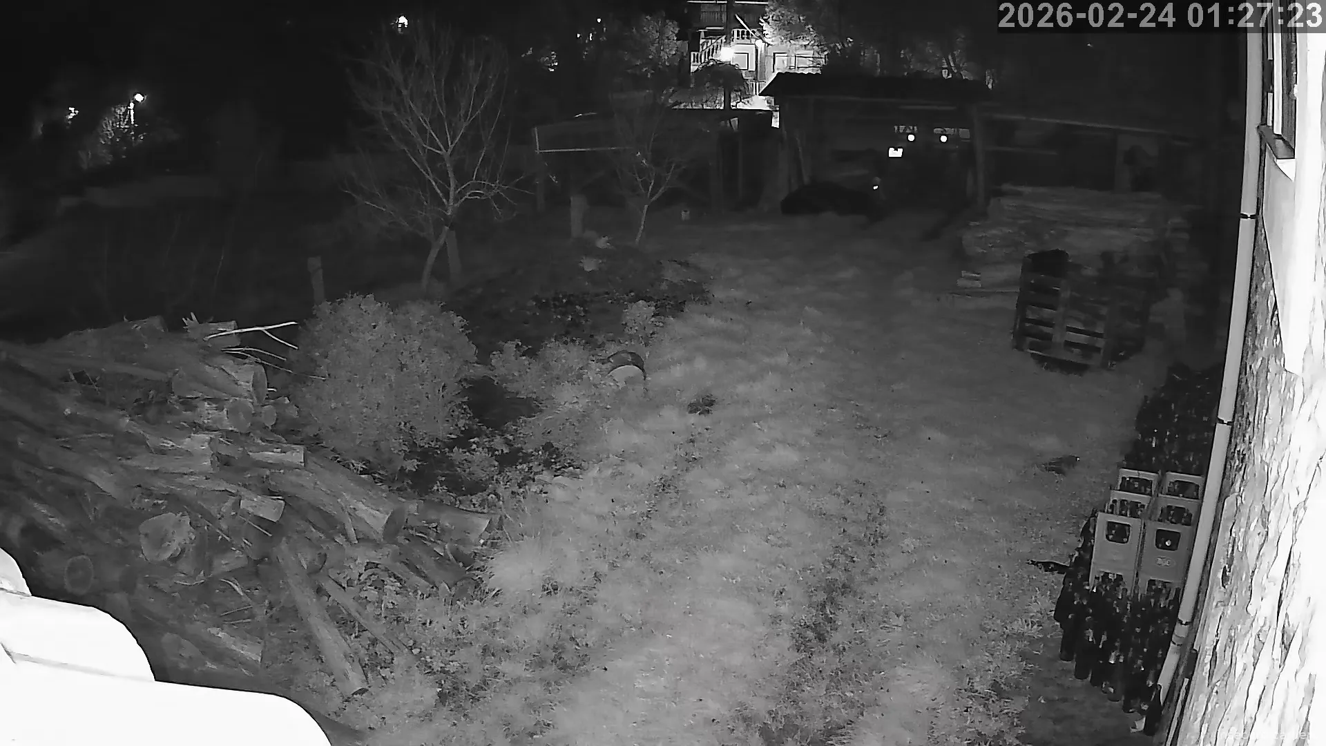 Capture from Feb 24, 2026 at 12:27 AM