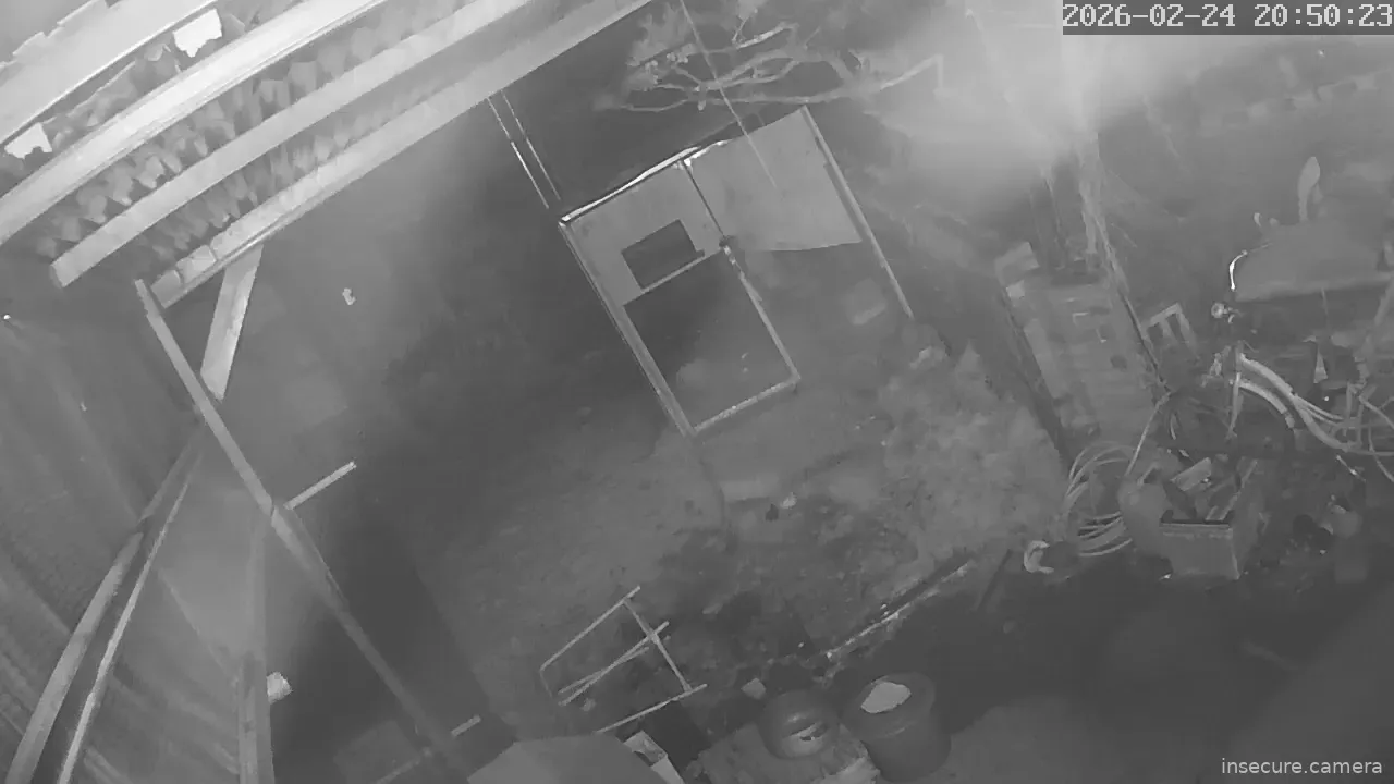 Capture from Feb 24, 2026 at 11:51 AM