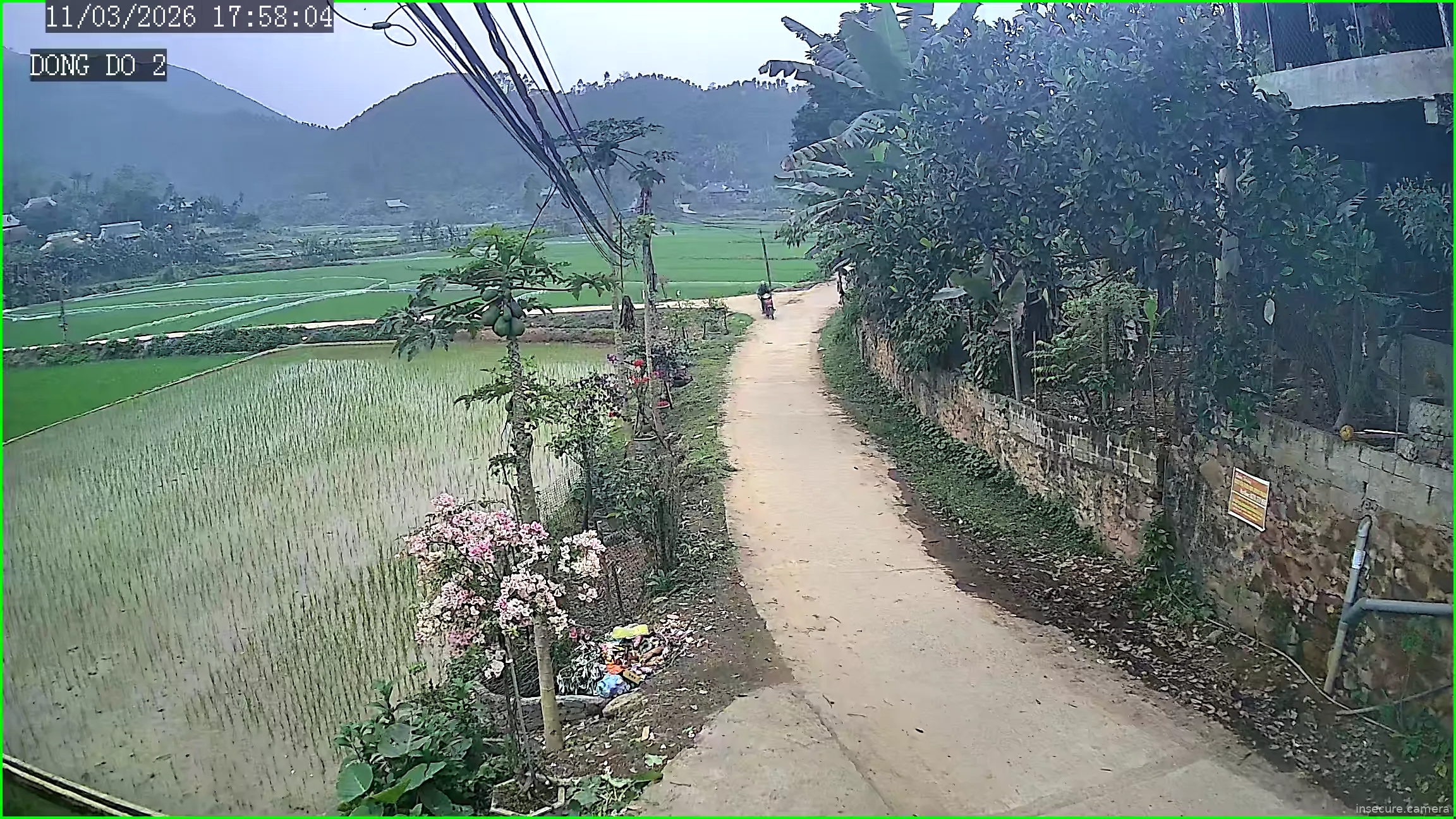 Capture from Mar 11, 2026 at 10:58 AM