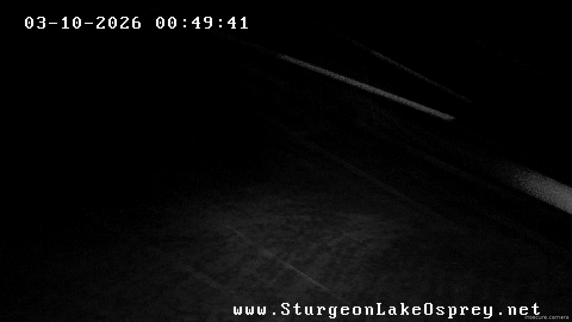 Capture from Mar 10, 2026 at 05:43 AM