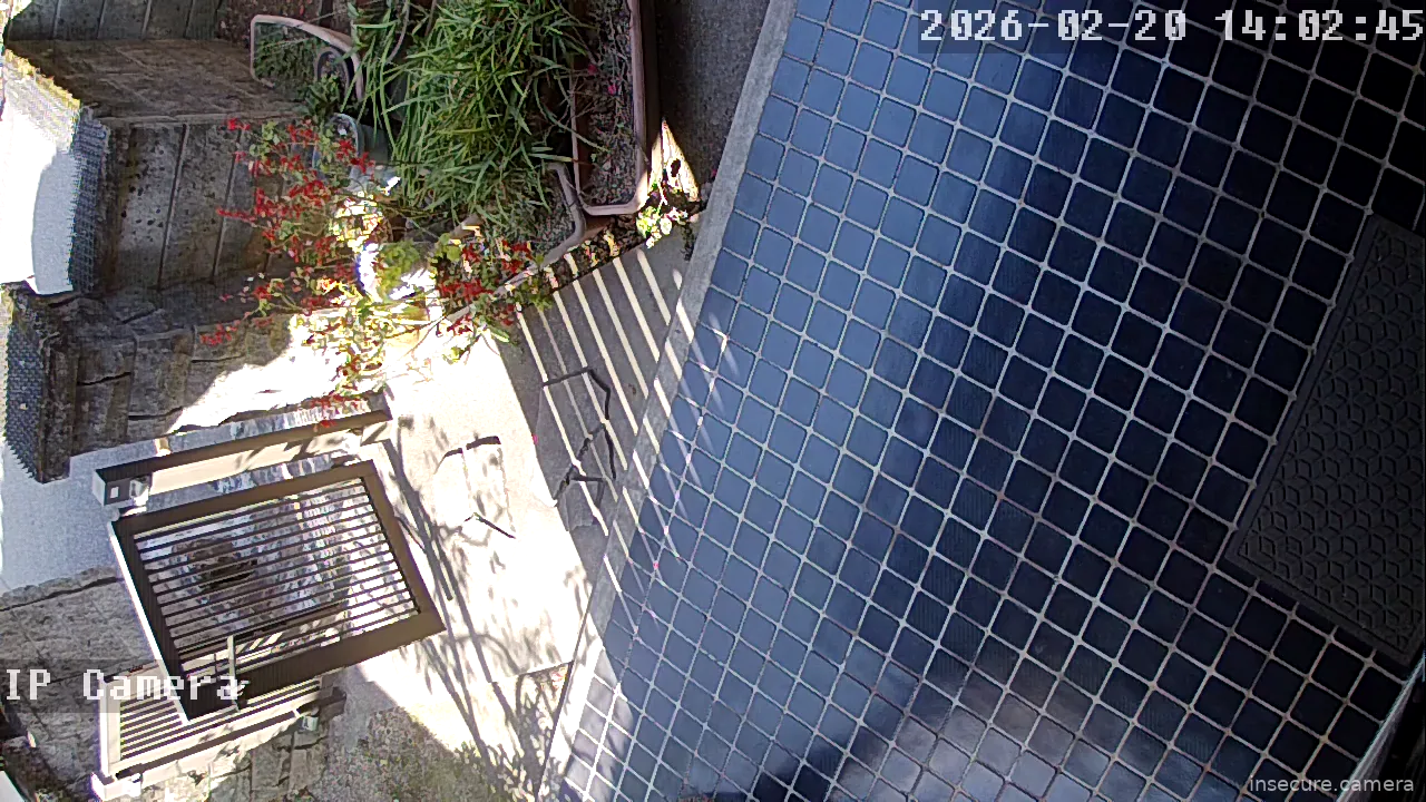 Capture from Feb 20, 2026 at 05:03 AM