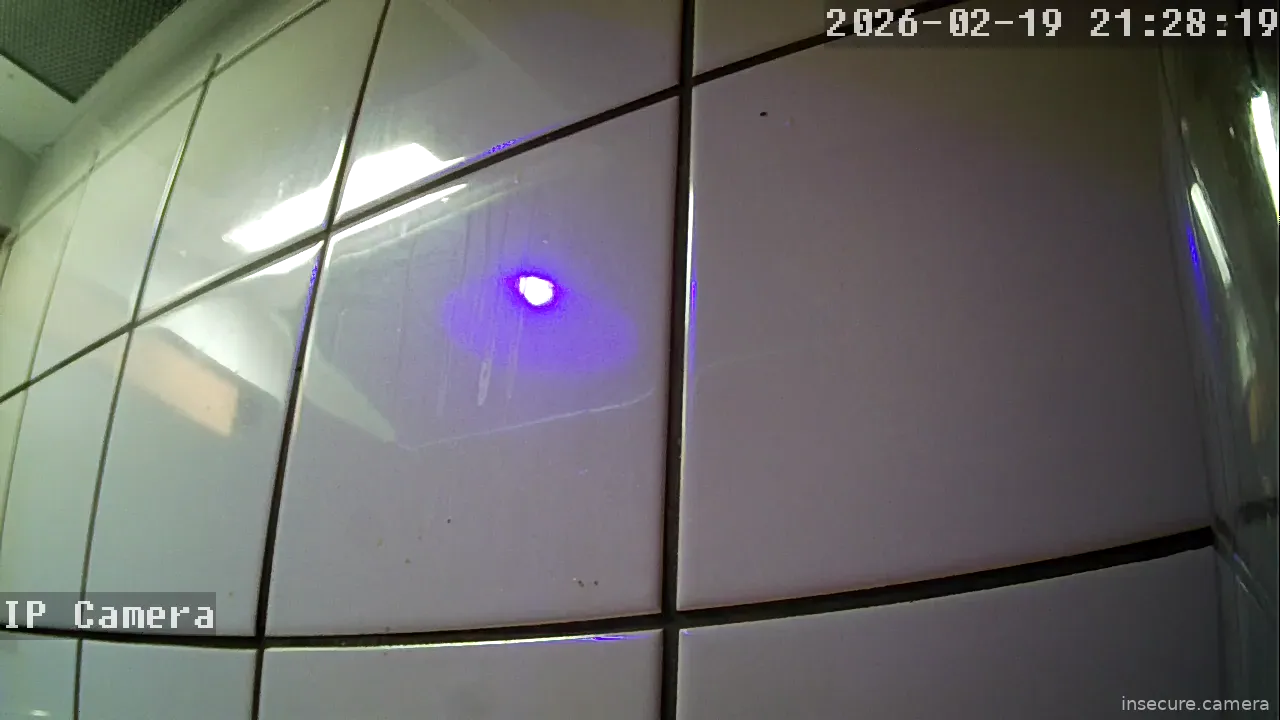 Capture from Feb 19, 2026 at 07:29 PM