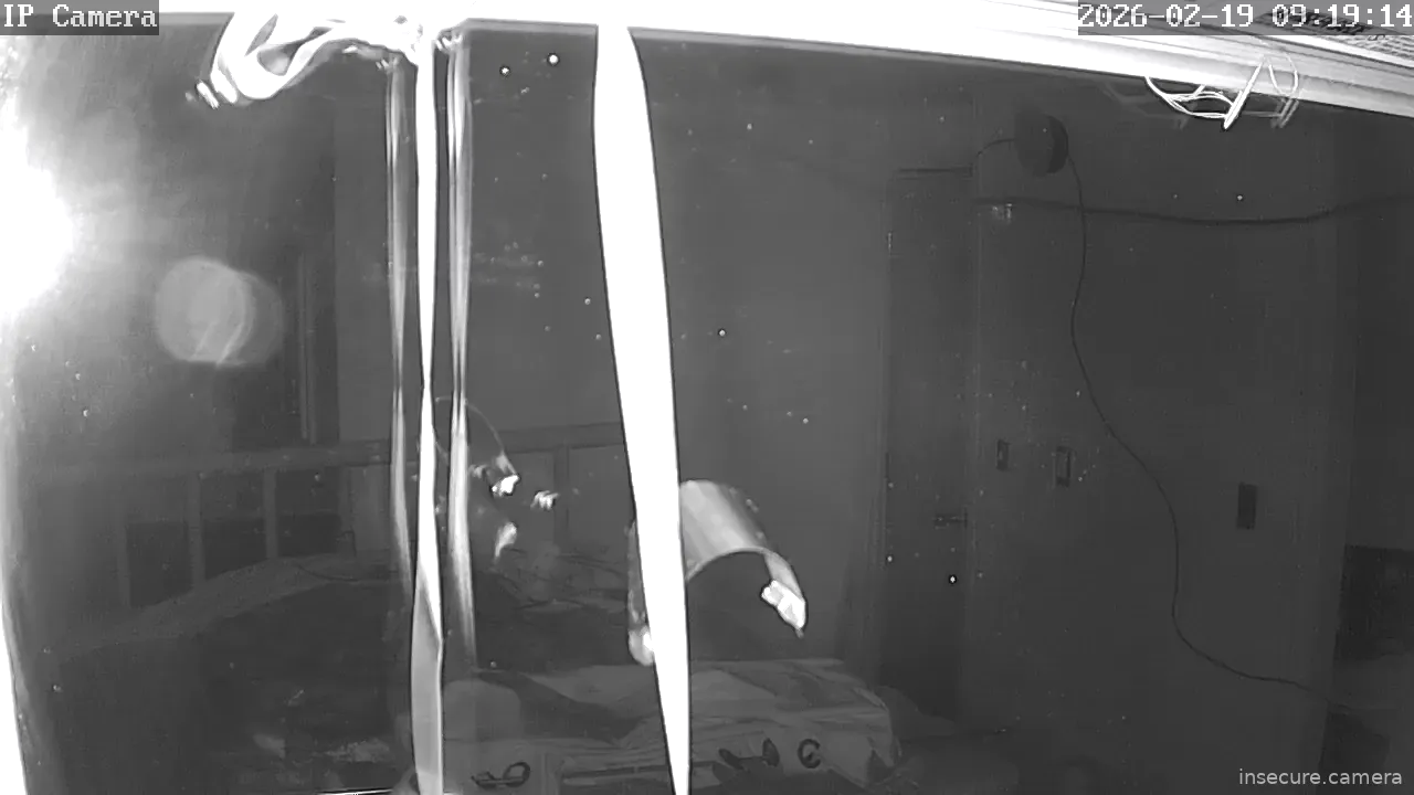 Capture from Feb 19, 2026 at 01:19 AM