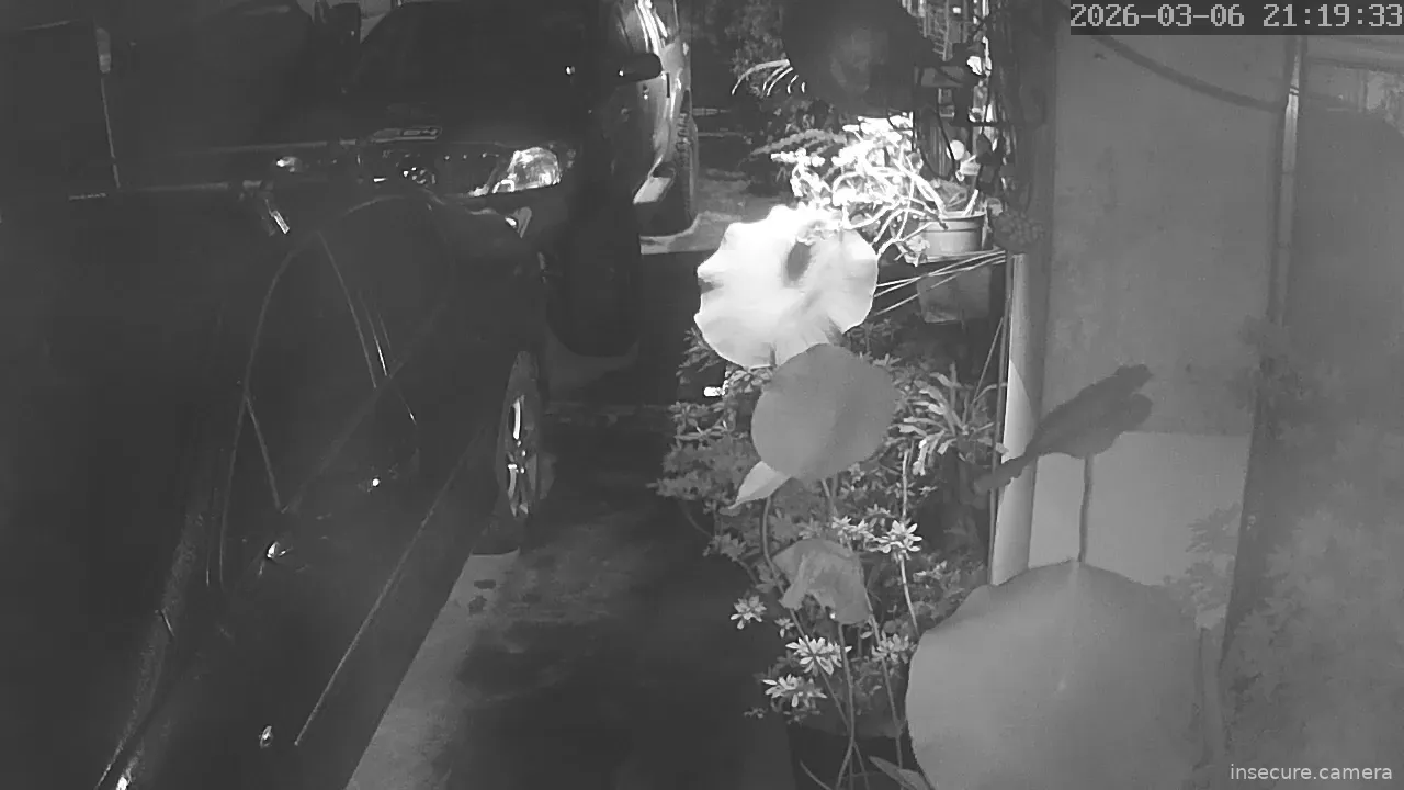 Capture from Mar 07, 2026 at 12:19 AM