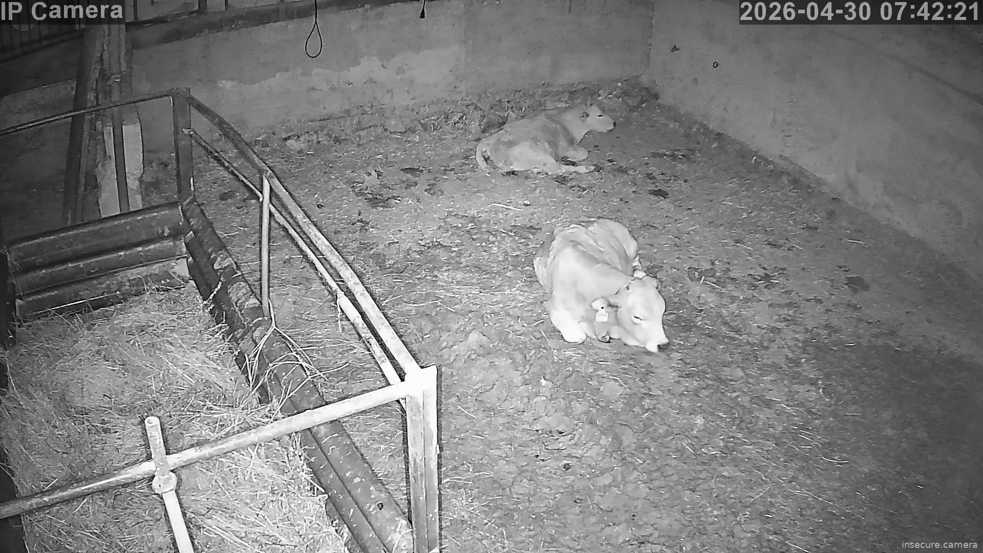 Capture from Apr 29, 2026 at 11:42 PM