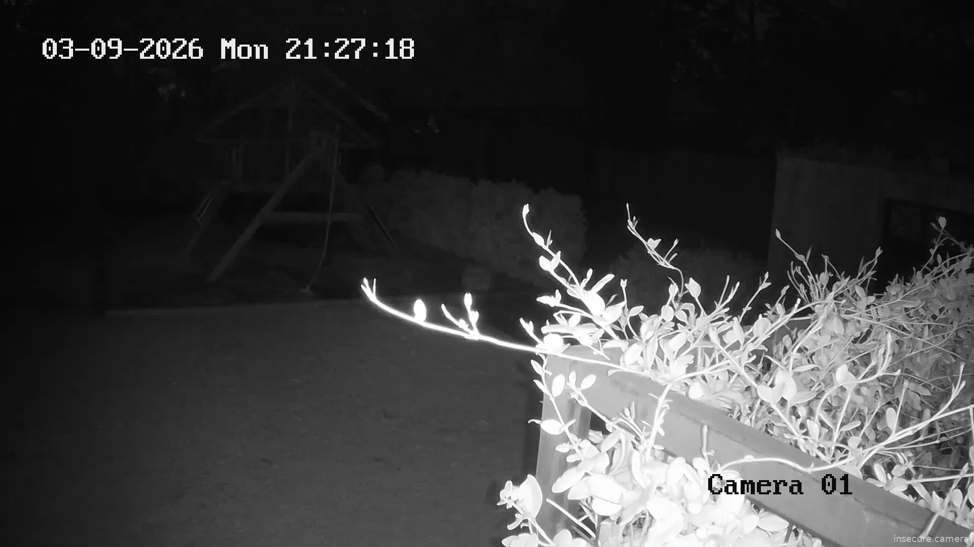 Camera in United States