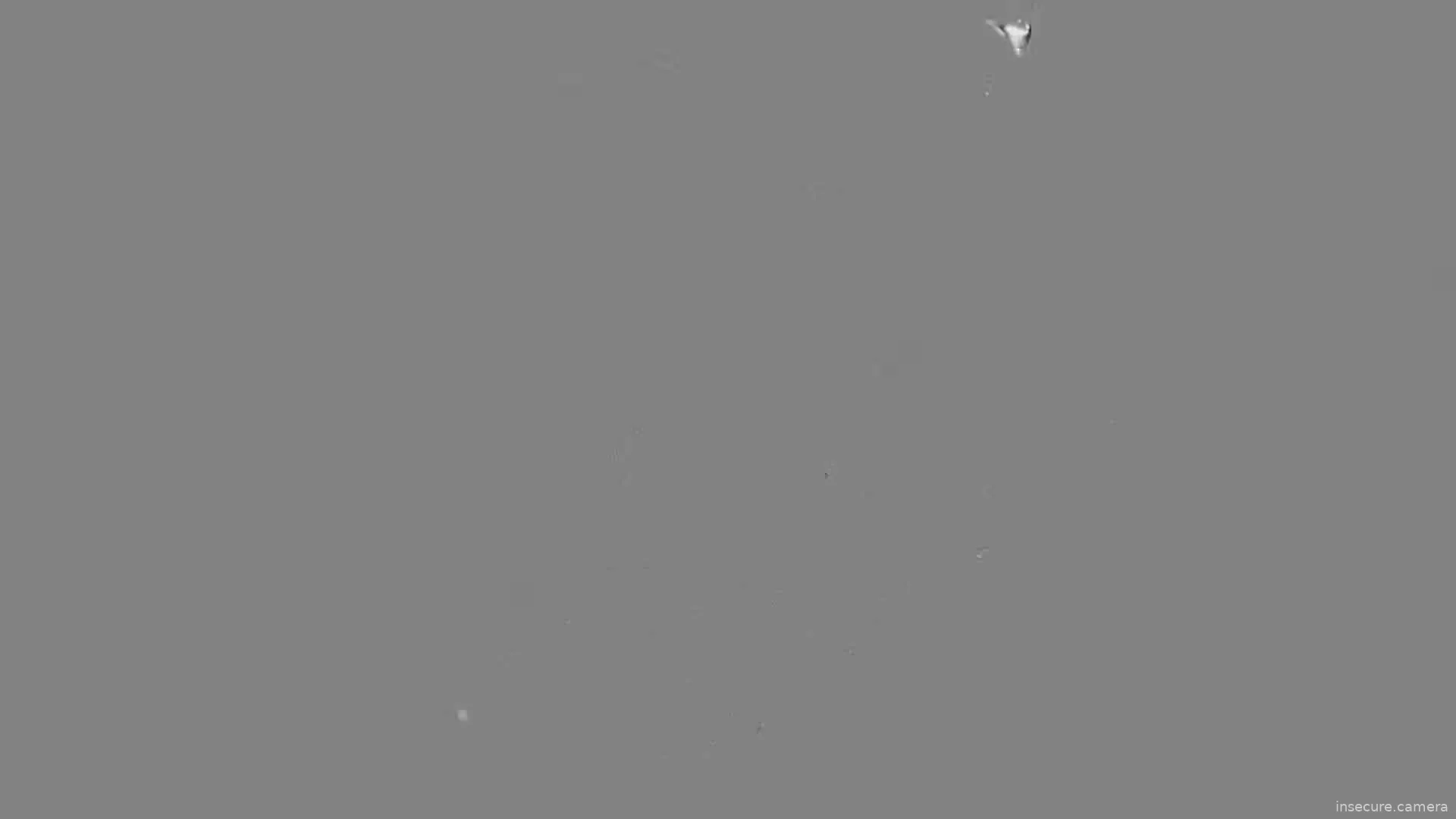 Capture from Feb 19, 2026 at 12:50 AM