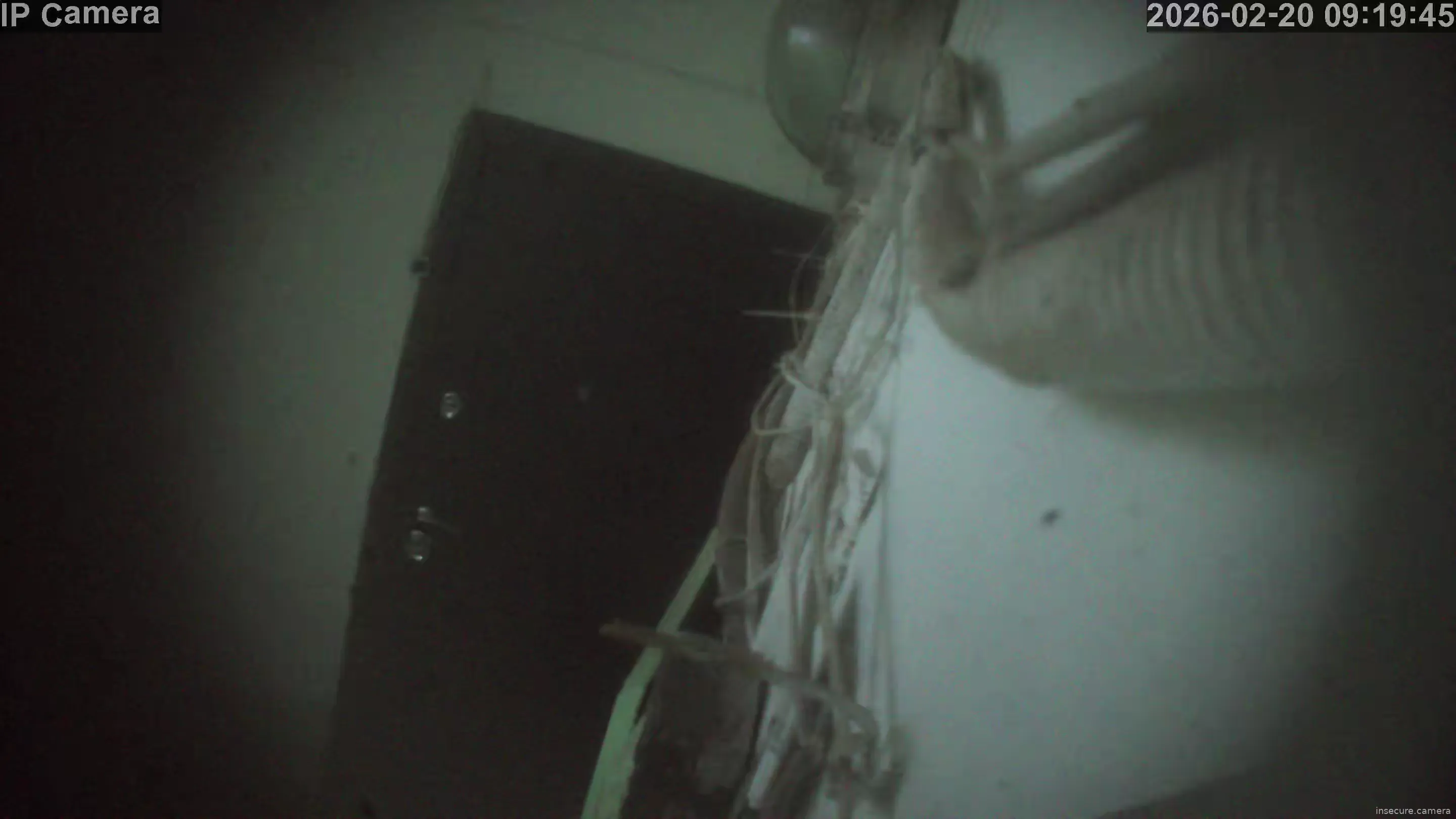 Capture from Feb 20, 2026 at 01:20 AM