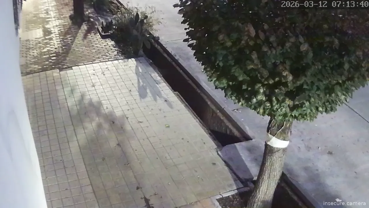 Capture from Mar 12, 2026 at 10:14 AM